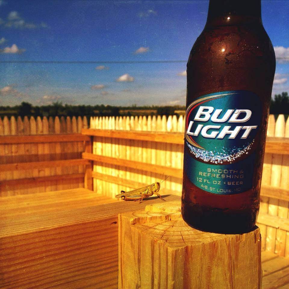 Sandy Bobs Patio Bar & Grill | restaurant | 2008 OH-199, Carey, OH 43316, USA | 4193964097 OR +1 419-396-4097