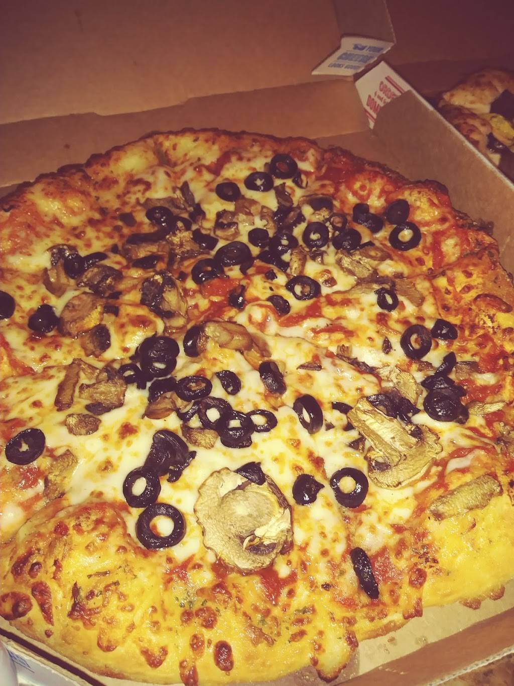 Dominos Pizza | meal delivery | 2313 Ludington St, Escanaba, MI 49829, USA | 9067890222 OR +1 906-789-0222