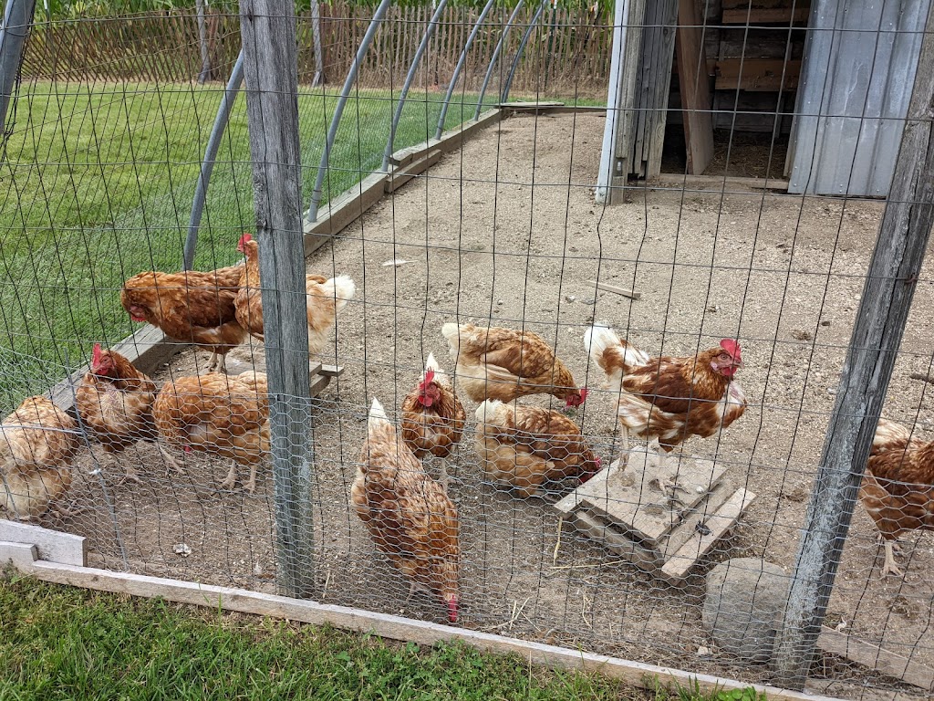 Pops MarketPlace | restaurant | S70W16050 Janesville Rd, Muskego, WI 53150, USA | 4145522079 OR +1 414-552-2079