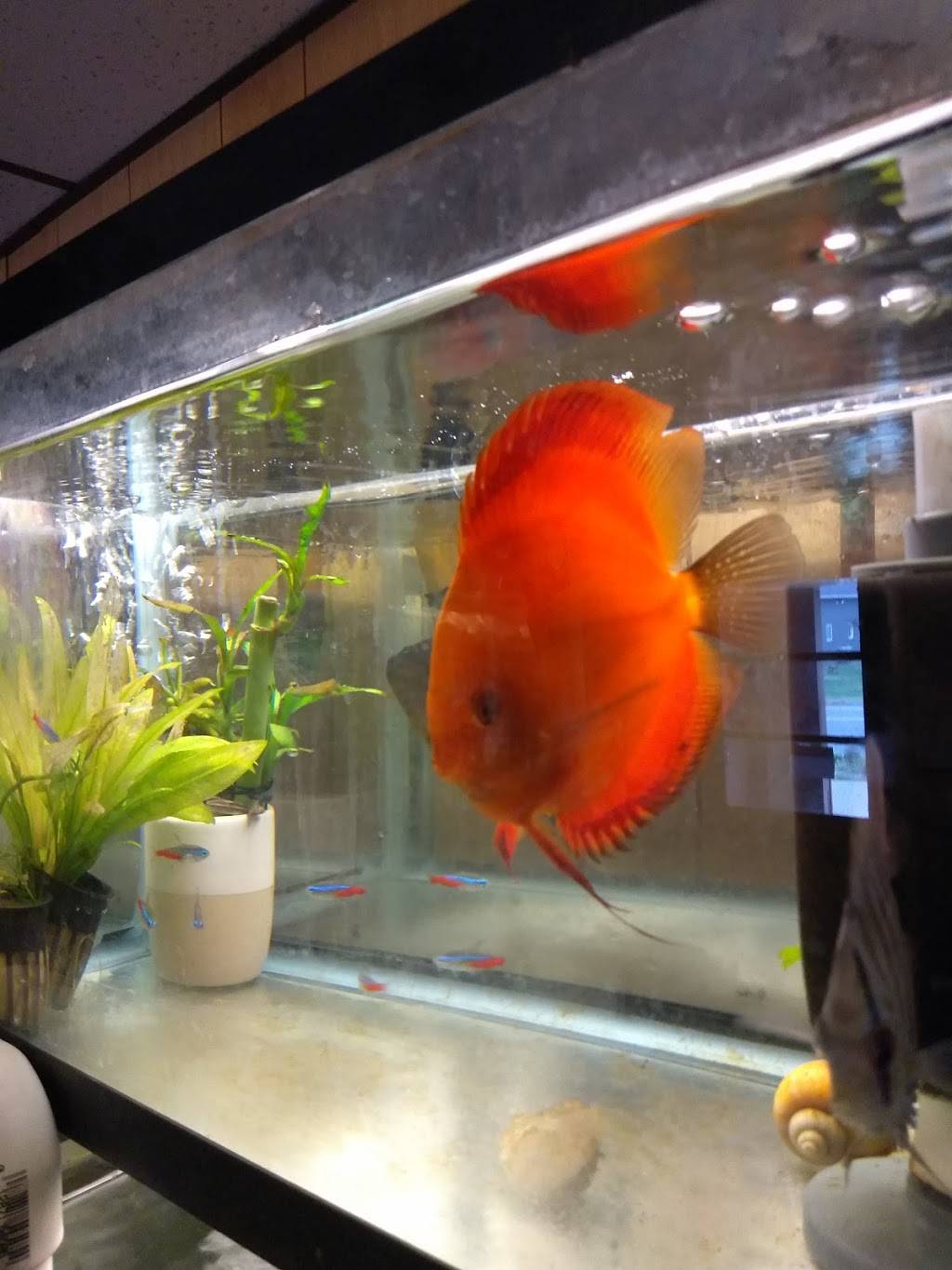 Sing Yee Restaurant | restaurant | 379 Turnpike St, South Easton, MA 02375, USA | 5082389881 OR +1 508-238-9881