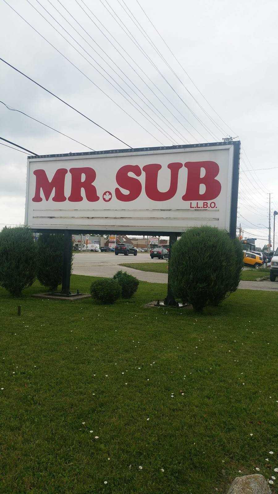 Mr.Sub | restaurant | 1725 Dundas St E, Mississauga, ON L4X 1L5, Canada | 9056254166 OR +1 905-625-4166