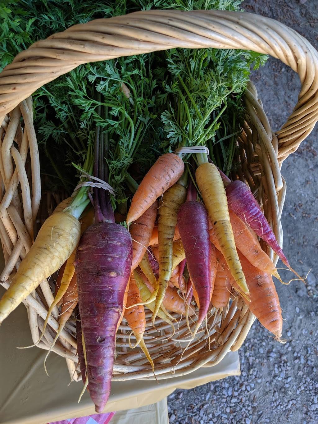 The Margarita at Pine Creek | restaurant | 7350 Pine Creek Rd, Colorado Springs, CO 80919, USA | 7195988667 OR +1 719-598-8667