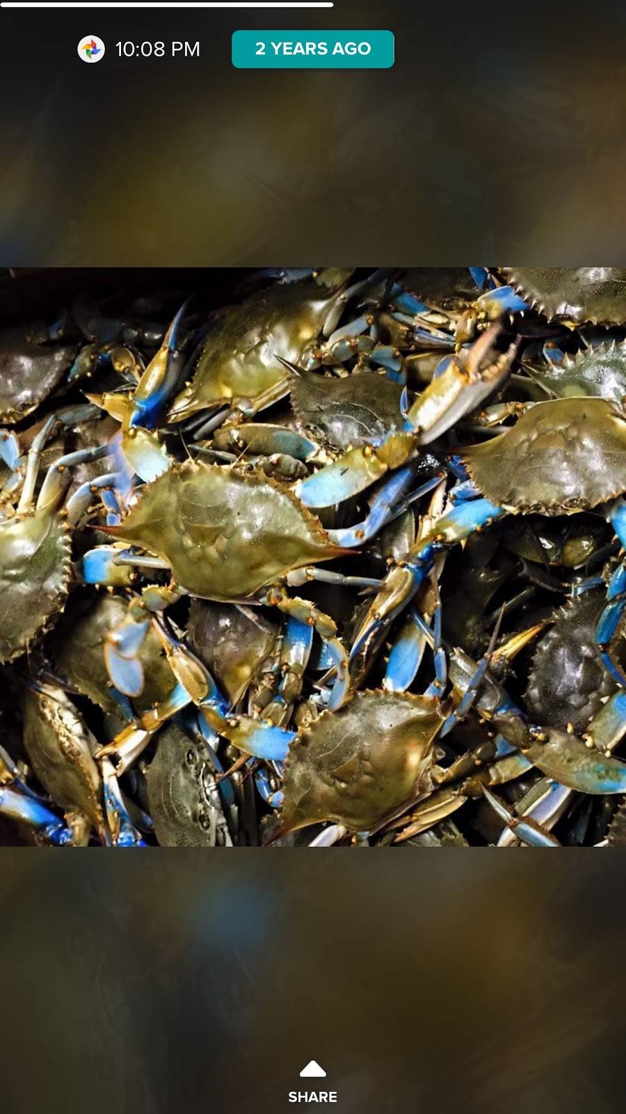 The Crab Lady | restaurant | 2207 Gordon Ln, Richmond, VA 23223, USA | 8042222722 OR +1 804-222-2722