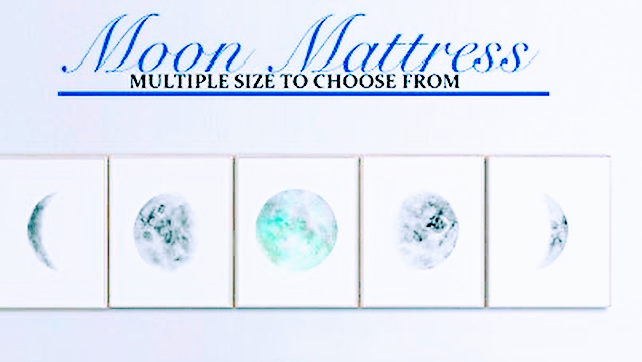 We Are T-Salon | cafe | 245 Main Street Front, Bristol, CT 06010, USA | 8605840448 OR +1 860-584-0448