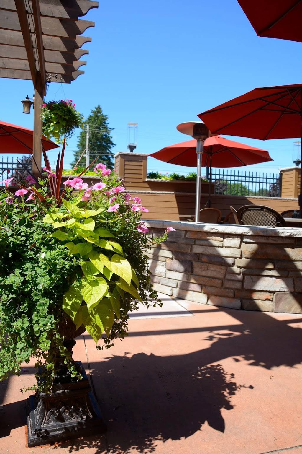 Tony Ks Bar & Grille | restaurant | 841 W Bagley Rd, Berea, OH 44017, USA | 4402349700 OR +1 440-234-9700