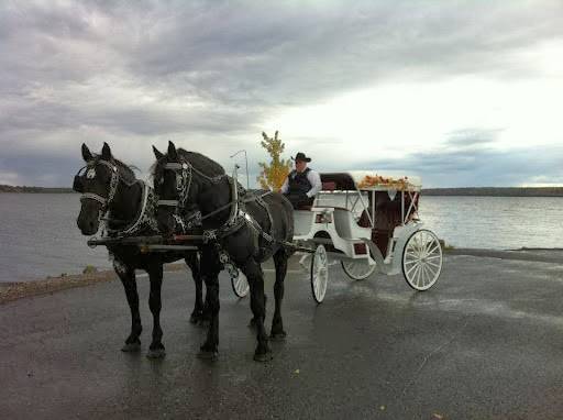 710 Excursions | restaurant | 710 Rte 366, Ladysmith, QC J0X 2A0, Canada | 8196472724 OR +1 819-647-2724