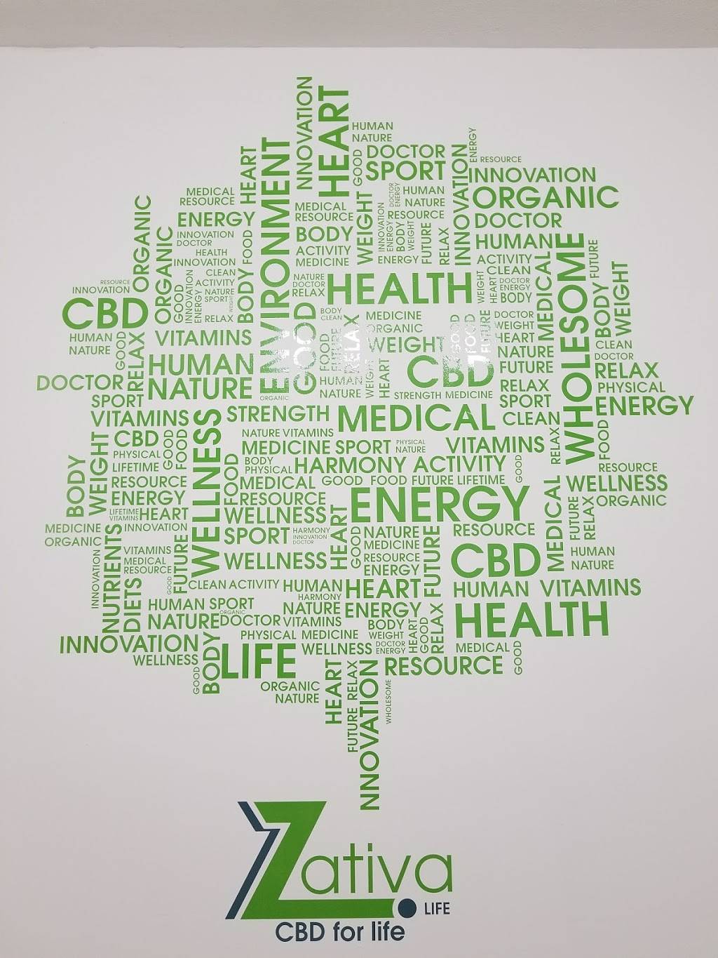 Smoothielicious | cafe | 8434 Bird Rd, Miami, FL 33155, USA | 3054031700 OR +1 305-403-1700