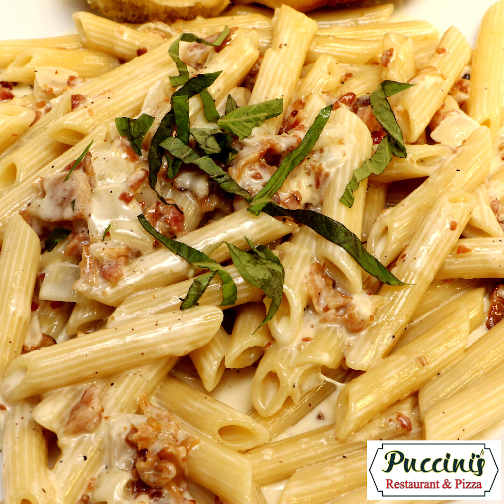 Puccinis Restaurant & Pizza - Boca Raton | restaurant | 9874 Yamato Rd, Boca Raton, FL 33434, USA | 5614794211 OR +1 561-479-4211