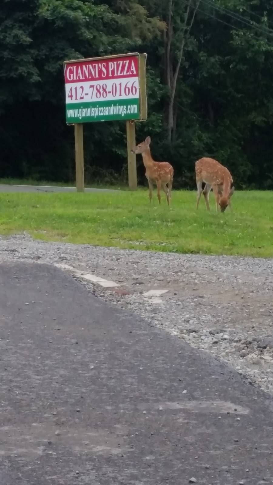 Giannis Pizza - Hankey Farms/Oakdale | meal delivery | 7780 Steubenville Pike, Oakdale, PA 15071, USA | 4127880166 OR +1 412-788-0166