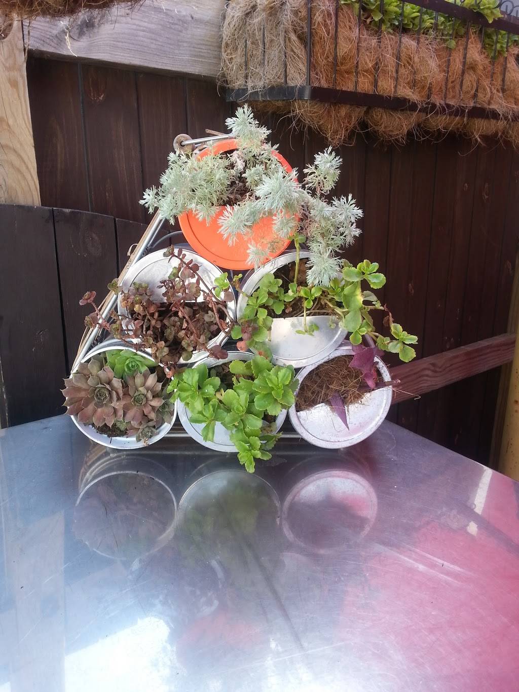 Bilskis Bar & Grill | restaurant | 5831 Merriam Dr, Shawnee, KS 66203, USA | 9138312337 OR +1 913-831-2337