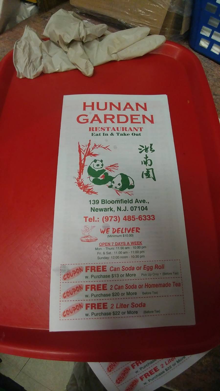 Hunan Garden | restaurant | 139 Bloomfield Ave, Newark, NJ 07104, USA | 9734856333 OR +1 973-485-6333