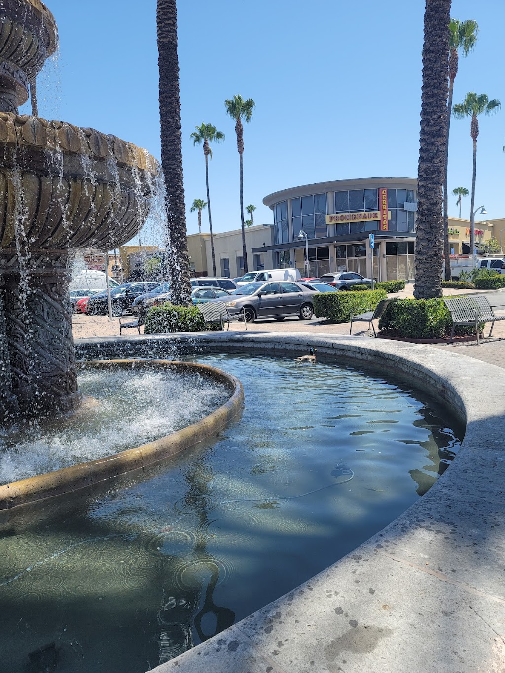 Starbucks | cafe | 11401 South St, Cerritos, CA 90703, USA | 5626530338 OR +1 562-653-0338