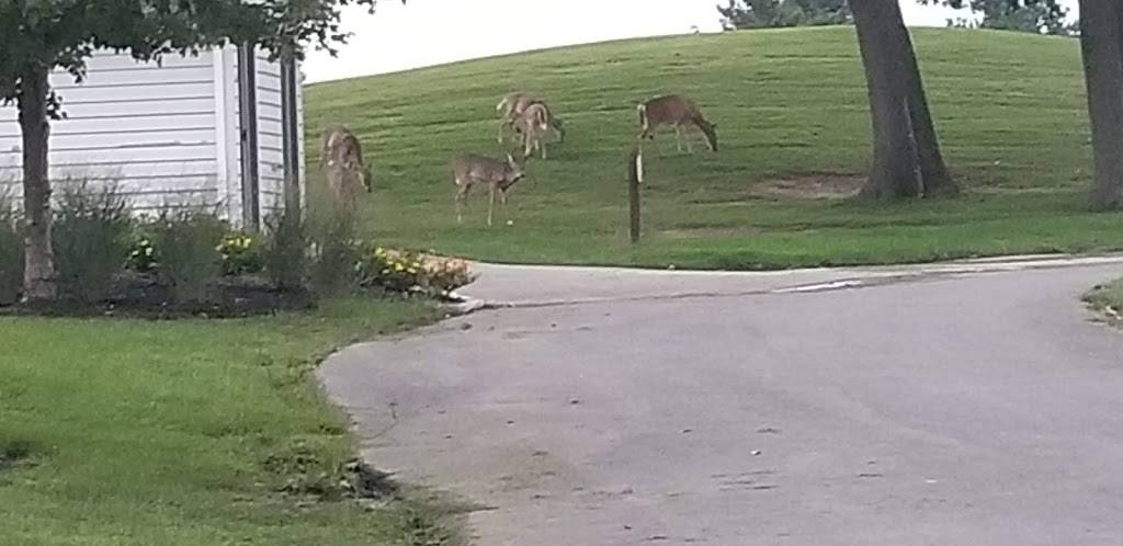 Diamond Ridge Golf Course | restaurant | 2309 Ridge Rd, Windsor Mill, MD 21244, USA | 4108871349 OR +1 410-887-1349