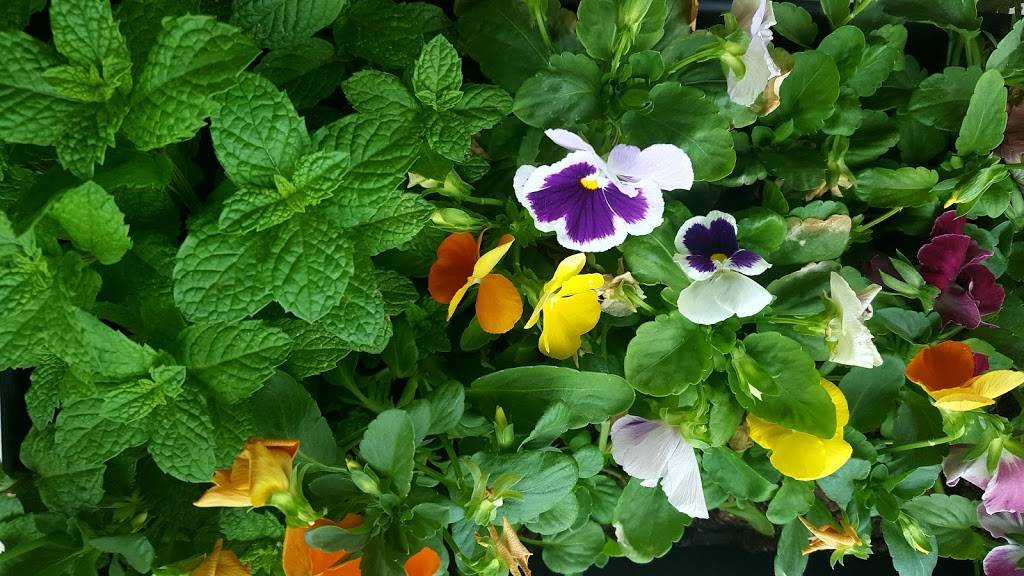 El Jefe Cocina & Bar | restaurant | 5309 Lyndale Ave S, Minneapolis, MN 55419, USA | 6122364791 OR +1 612-236-4791