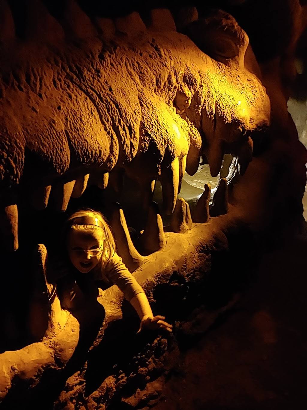 Samwiches | restaurant | 701 N 15th St, St. Louis, MO 63103, USA | 3143594787 OR +1 314-359-4787