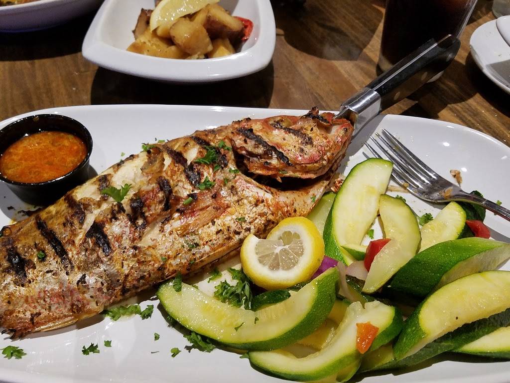 Acropolis Greek Taverna - South Tampa | restaurant | 3023 W Kennedy Blvd, Tampa, FL 33609, USA | 8138778200 OR +1 813-877-8200