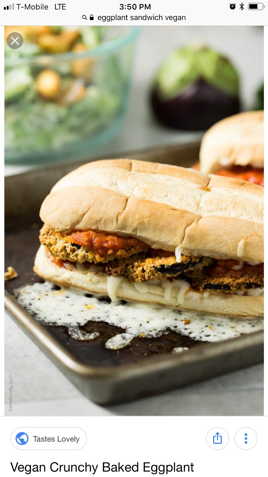 Monster Subs | meal takeaway | 1978 E Sunrise Blvd, Fort Lauderdale, FL 33304, USA | 9544637997 OR +1 954-463-7997