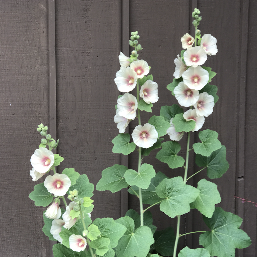 Karlin Inn | restaurant | 7484 Karlin Rd, Interlochen, MI 49643, USA | 2312637995 OR +1 231-263-7995