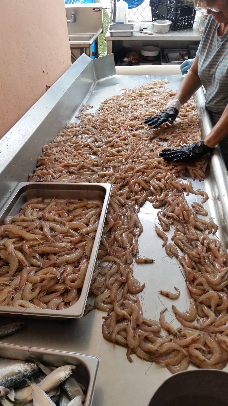 Tropical Lobster Corporation | restaurant | 3195 NW 20th St, Miami, FL 33142, USA | 7863345559 OR +1 786-334-5559