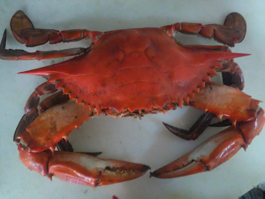 Pikes Seafood Inc | restaurant | 1940 Washington Ln, Philadelphia, PA 19138, USA | 2159272201 OR +1 215-927-2201