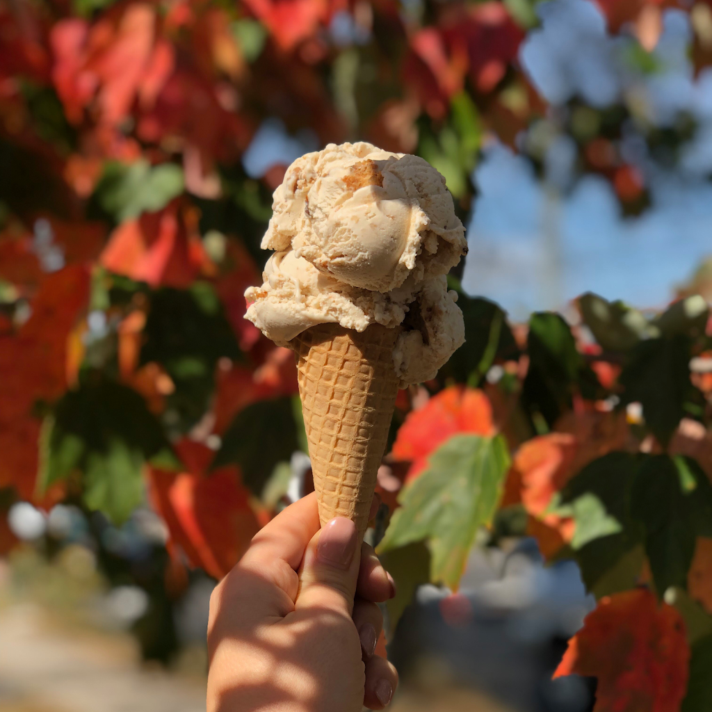 Twister Ice Cream | restaurant | 164 White St, Danbury, CT 06810, USA | 2037487020 OR +1 203-748-7020