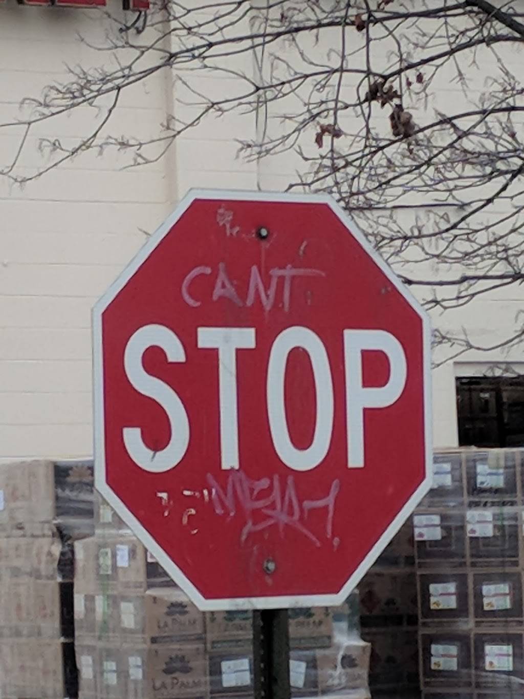 Nam Vang Restaurant | restaurant | 571 Adams Ave # 1, Philadelphia, PA 19120, USA | 2157429488 OR +1 215-742-9488