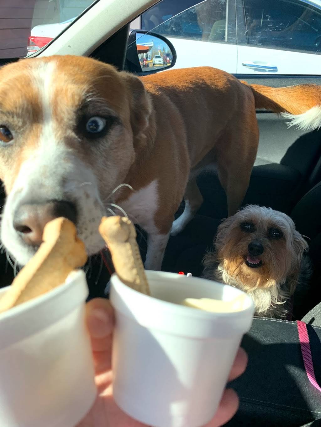 The Jug | restaurant | 3610 Central Ave, Middletown, OH 45044, USA | 5134241677 OR +1 513-424-1677