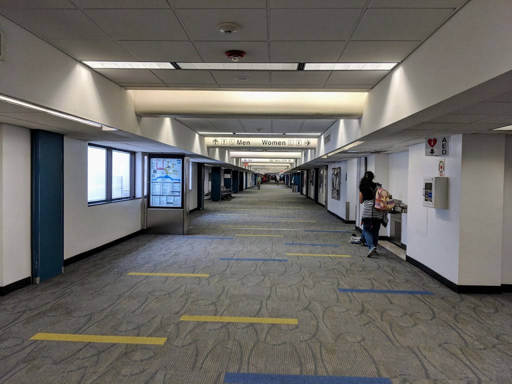 Guava & Java | bakery | Terminal G - Central Terminal, Miami International Airport (MIA), 2100 NW 42nd Ave Gate G9, Miami, FL 33126, USA | 3058714444 OR +1 305-871-4444