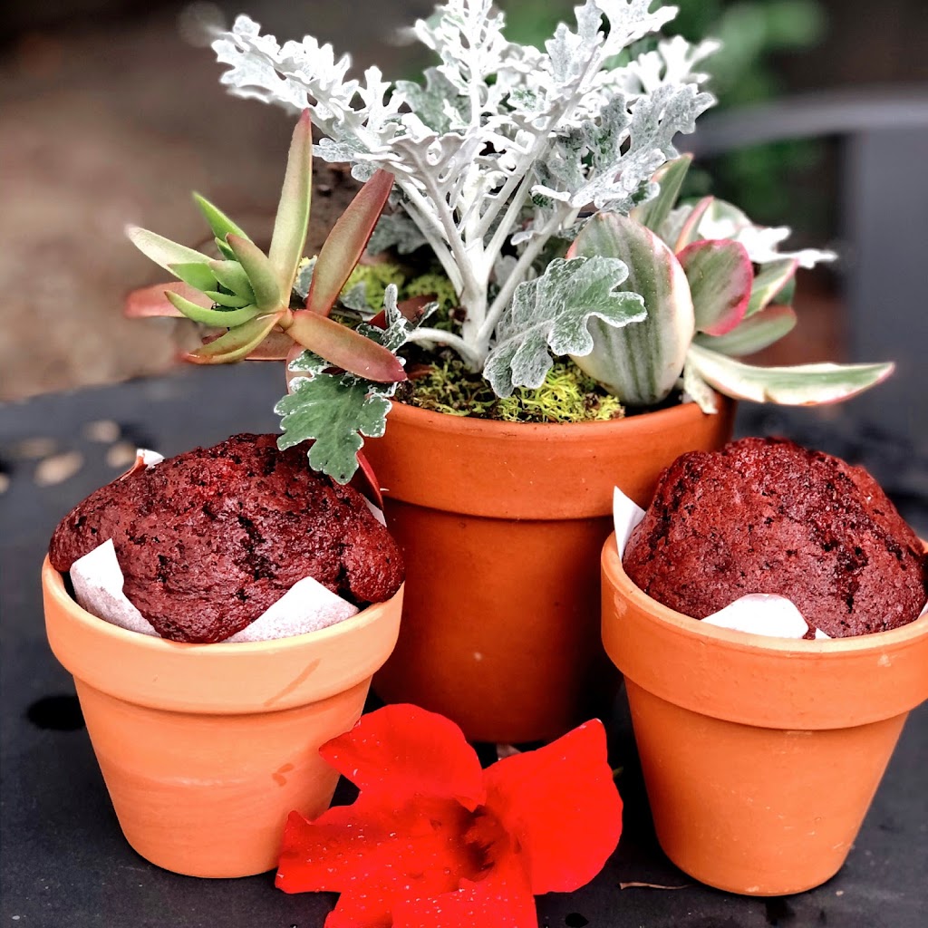 Blossom Cafe | cafe | Inside Floral & Hardy, 4007 W Skippack Pike, Skippack, PA 19474, USA | 6105840797 OR +1 610-584-0797