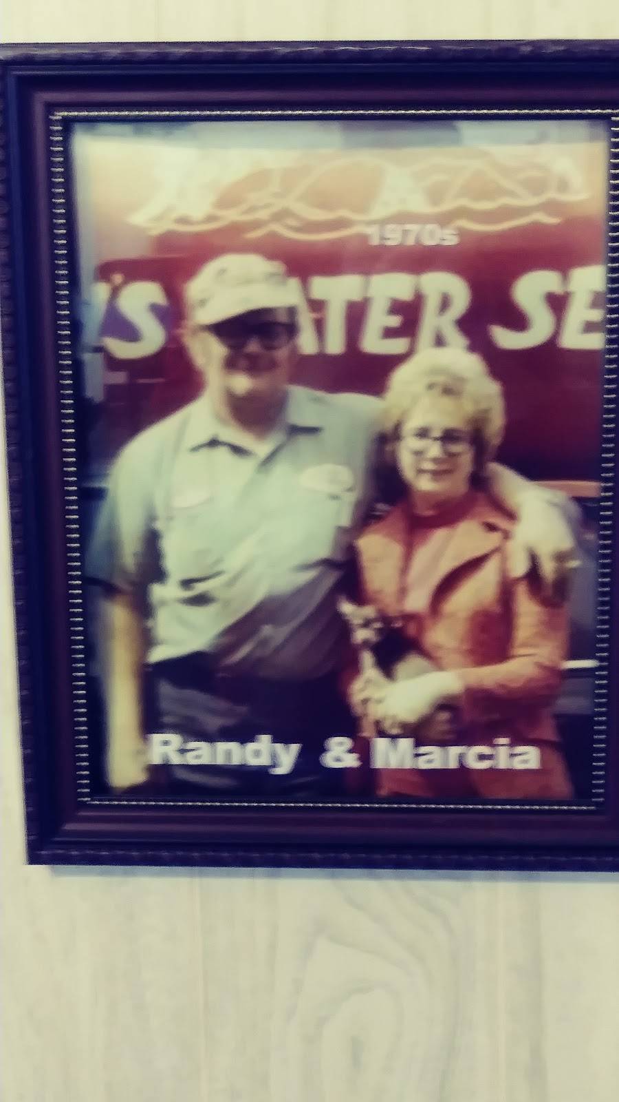 Randys To Your Door | restaurant | 8602 Southeastern Ave, Indianapolis, IN 46239, USA | 3178626601 OR +1 317-862-6601