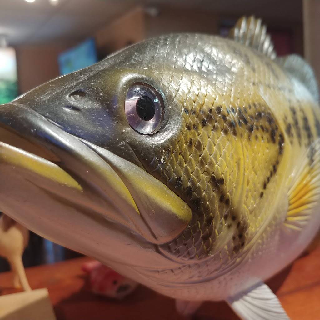 House Of Sushi | restaurant | 308 S 8th St Unit M, Colorado Springs, CO 80905, USA | 7196359744 OR +1 719-635-9744