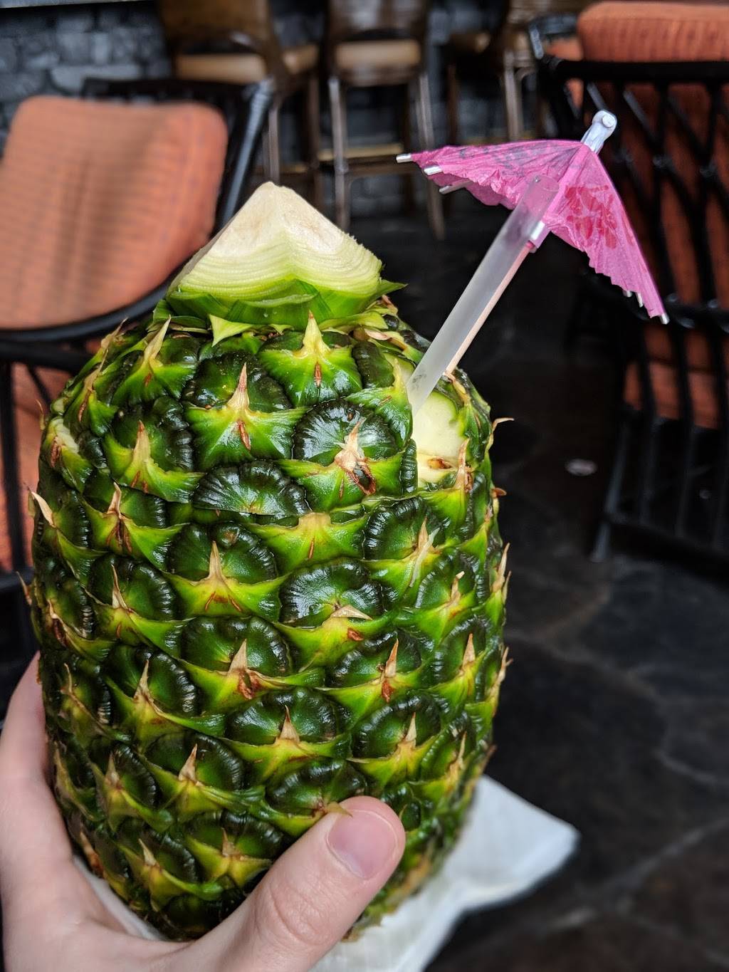 Tambu Lounge | night club | 1600 Seven Seas Drive, Orlando, FL 32836, USA | 4079393463 OR +1 407-939-3463