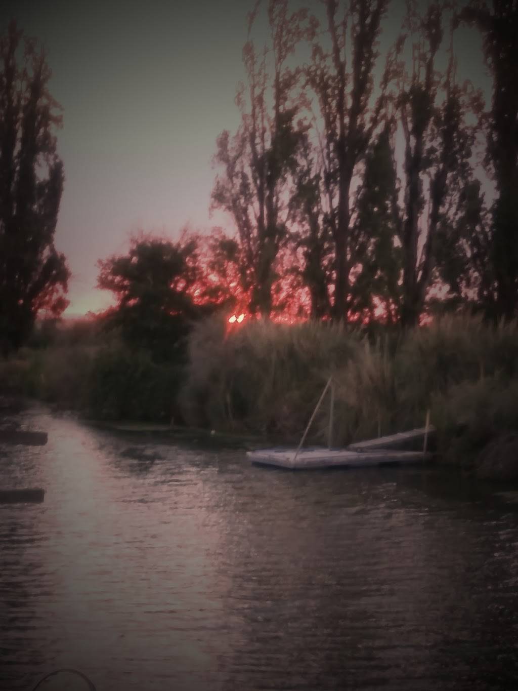 Tracy Oasis Marina Resort | restaurant | 12450 Grimes Rd, Tracy, CA 95304, USA | 2098353182 OR +1 209-835-3182