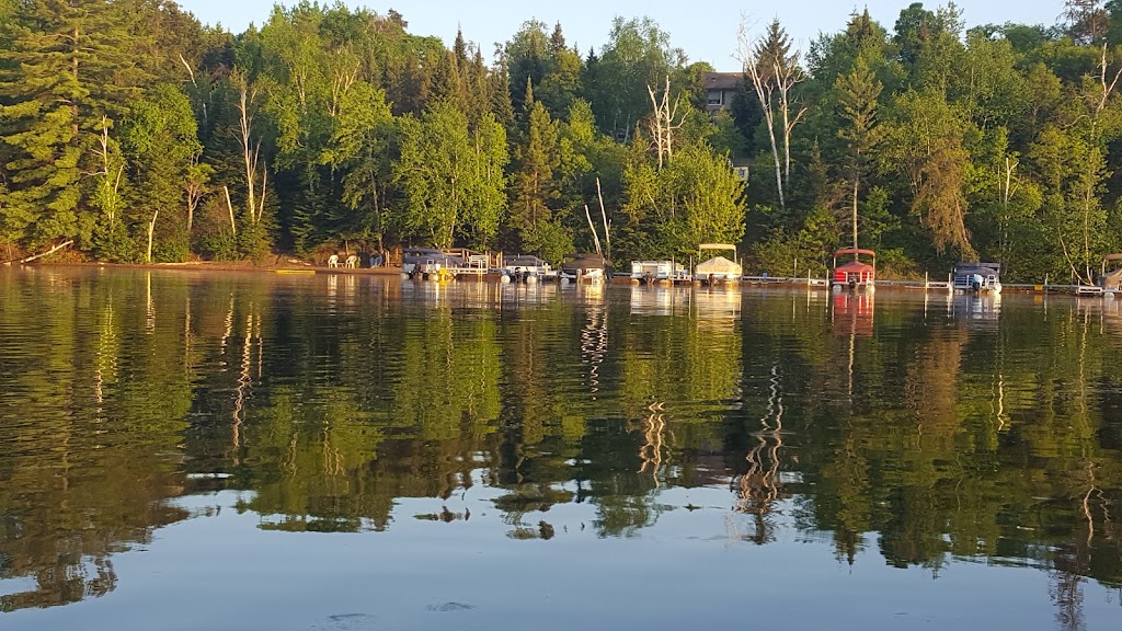 The Golden Chipmunk Bar & Grill | restaurant | 16095 S Chipmunk Hollow Rd, Gordon, WI 54838, USA | 7154664095 OR +1 715-466-4095