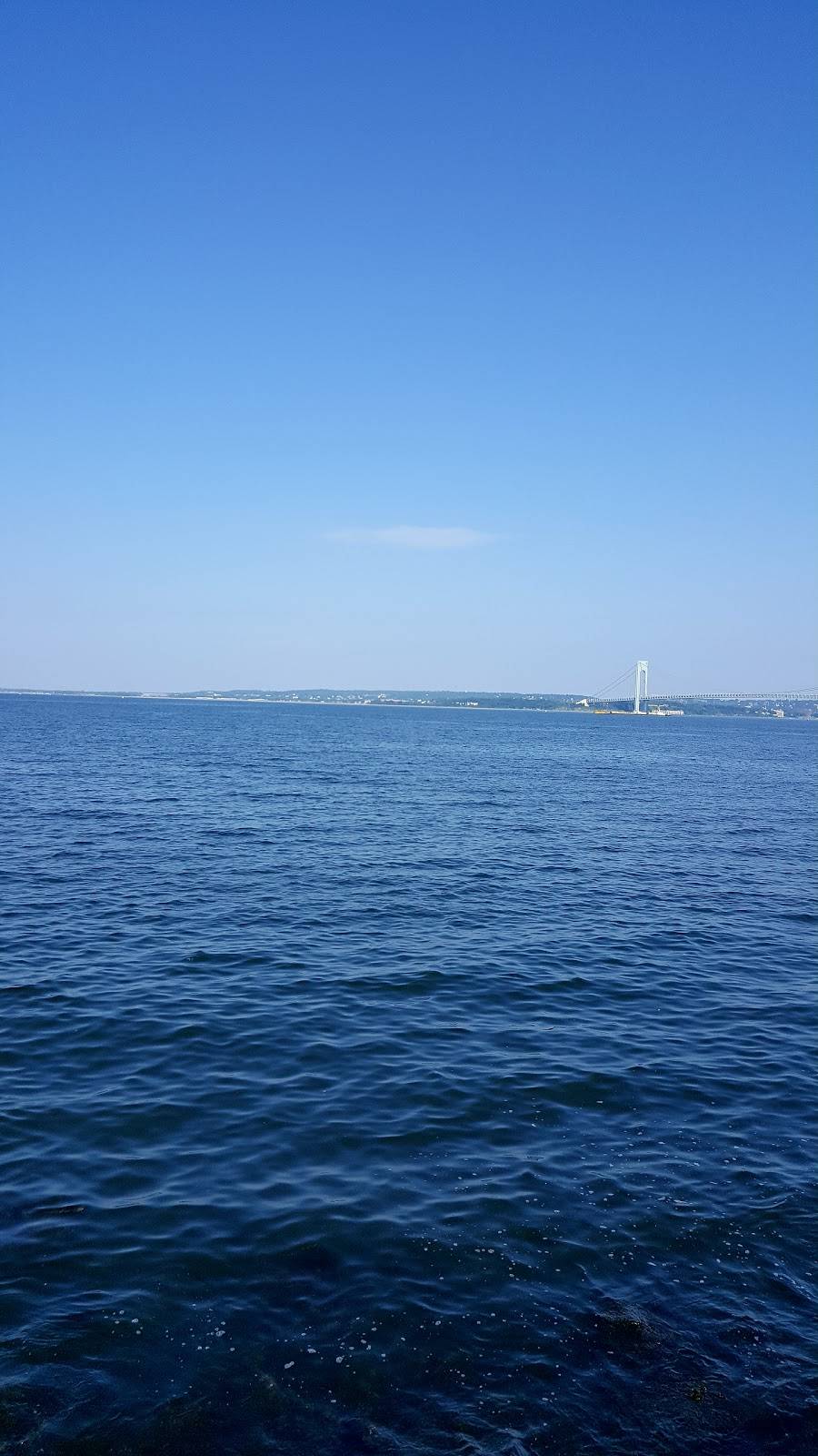 Kung Fu Tea | cafe | 2174 86th St, Brooklyn, NY 11214, USA | 7183732695 OR +1 718-373-2695