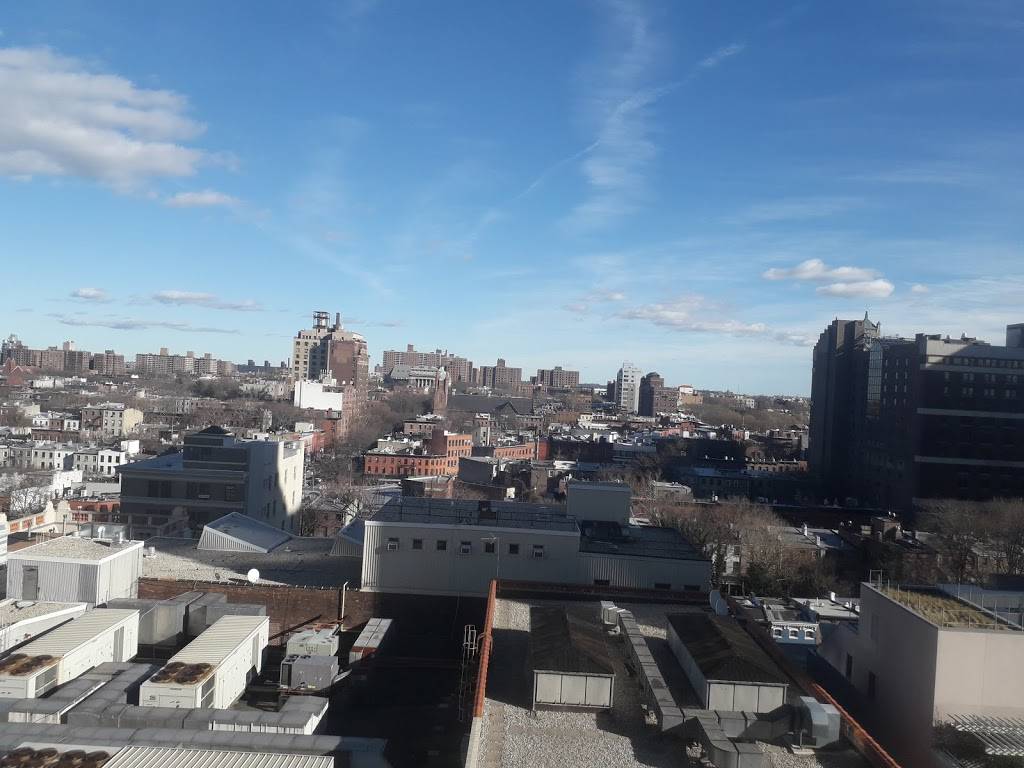 Rockys Deli & Supermarket | restaurant | 721 Fulton St, Brooklyn, NY 11217, USA | 7182431165 OR +1 718-243-1165