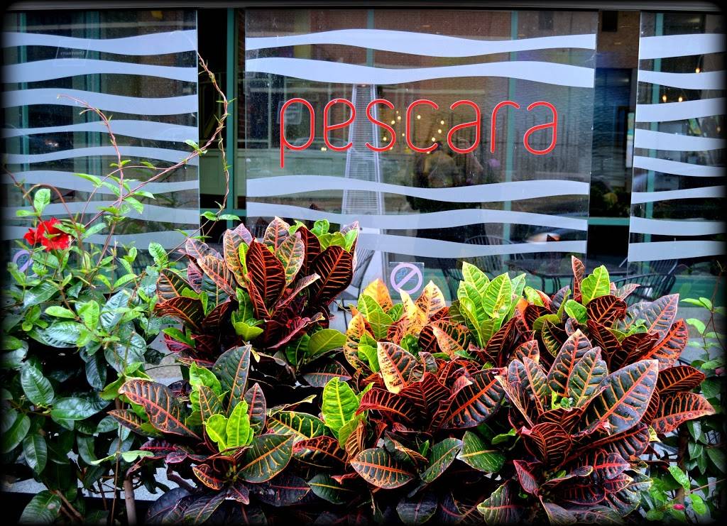 Pescara | restaurant | 150 S Broadway, Rochester, MN 55904, USA | 5072806900 OR +1 507-280-6900