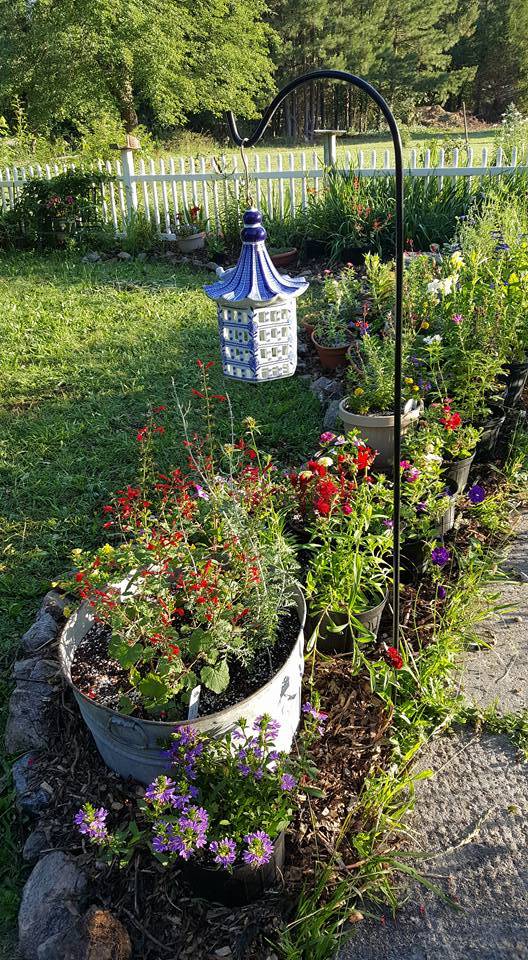 Willows Bend Farm Herbs & Aromatherapy | restaurant | 20413 Carson Rd, Dinwiddie, VA 23841, USA | 8048927588 OR +1 804-892-7588