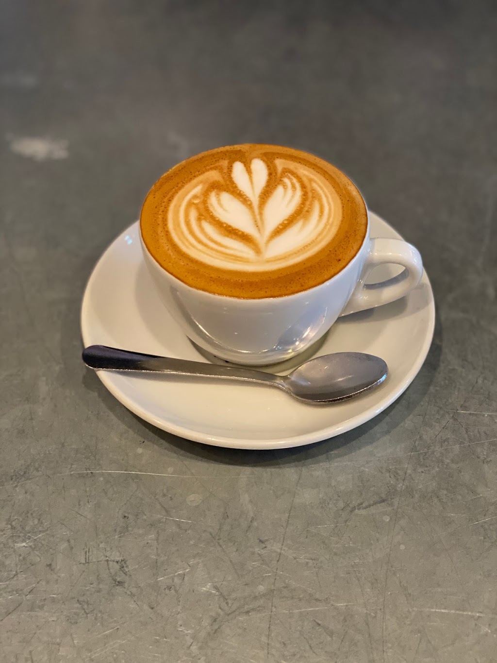 Paulies | restaurant | 1834 Westheimer Rd, Houston, TX 77098, USA | 7138077271 OR +1 713-807-7271