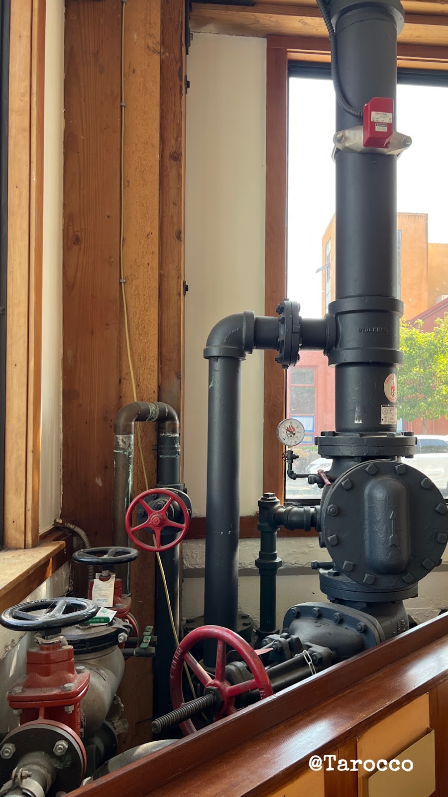 TAROCCO | restaurant | 2570 Ninth St, Berkeley, CA 94710, USA | 5108981312 OR +1 510-898-1312