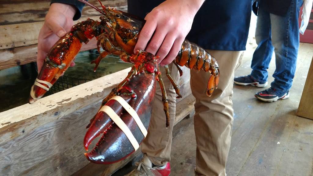 Lukes at Tenants Harbor | restaurant | 12 Commercial St, St George, ME 04860, USA | 2076043148 OR +1 207-604-3148