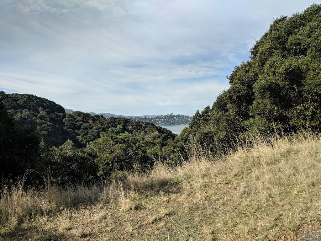 Angel Island Cafe | restaurant | United States, 1120 Mar W St, Tiburon, CA 94920, USA | 4154353392 OR +1 415-435-3392