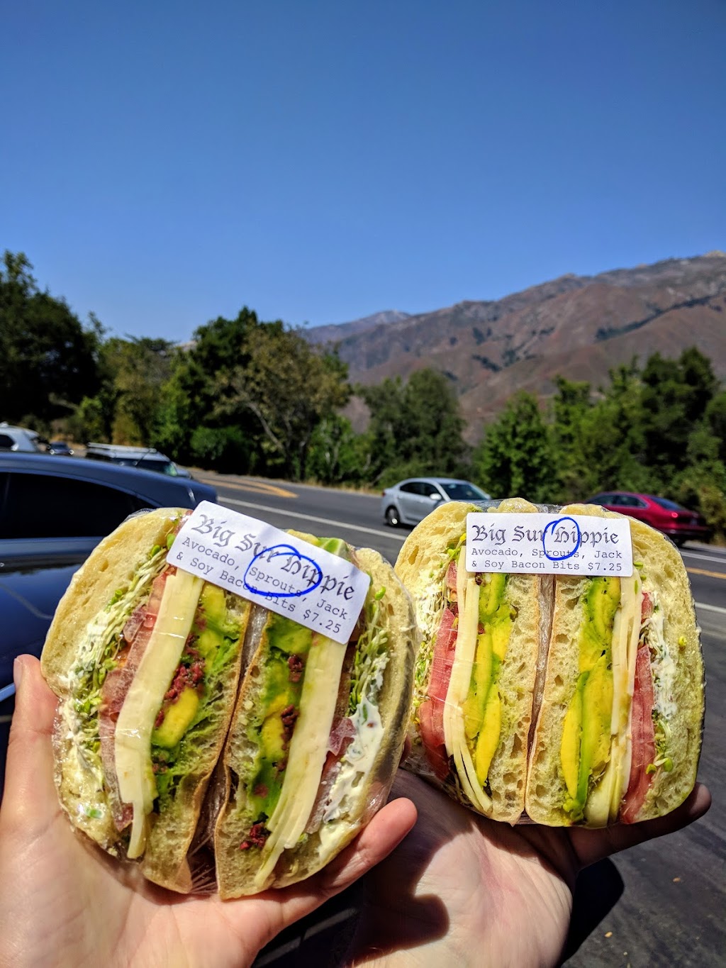 Big Sur Deli | restaurant | 47520 CA-1, Big Sur, CA 93920, USA | 8316672225 OR +1 831-667-2225