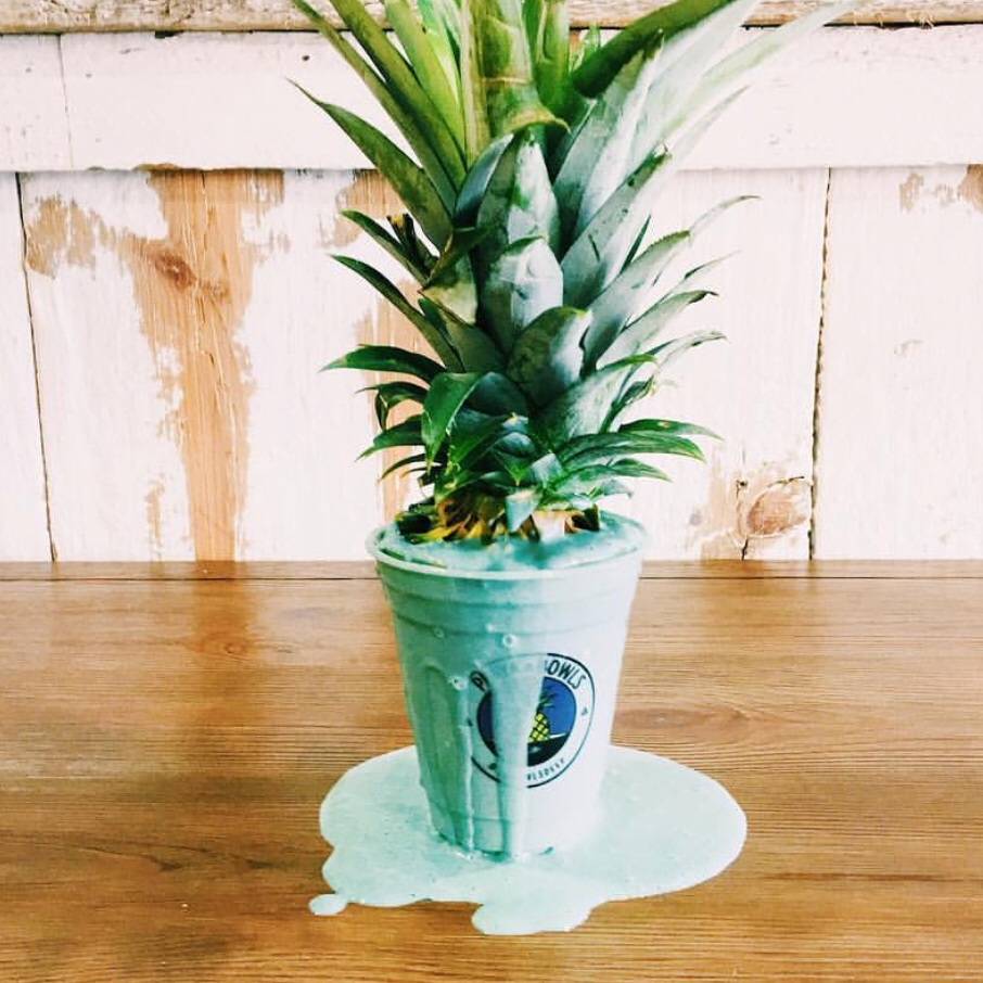 Playa Bowls Villanova | restaurant | 150 Lancaster Ave, Wayne, PA 19087, USA | 4845802157 OR +1 484-580-2157