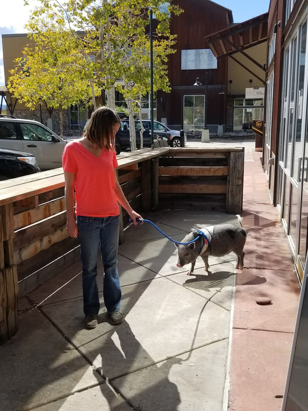 Mc Knights Irish Pub | restaurant | 685 Marketplace Plaza, Steamboat Springs, CO 80487, USA | 9708797881 OR +1 970-879-7881