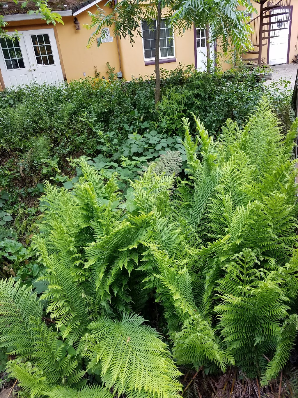 The Pub at Fair Play | restaurant | 7915 Fairplay Rd, Somerset, CA 95684, USA | 5306201500 OR +1 530-620-1500