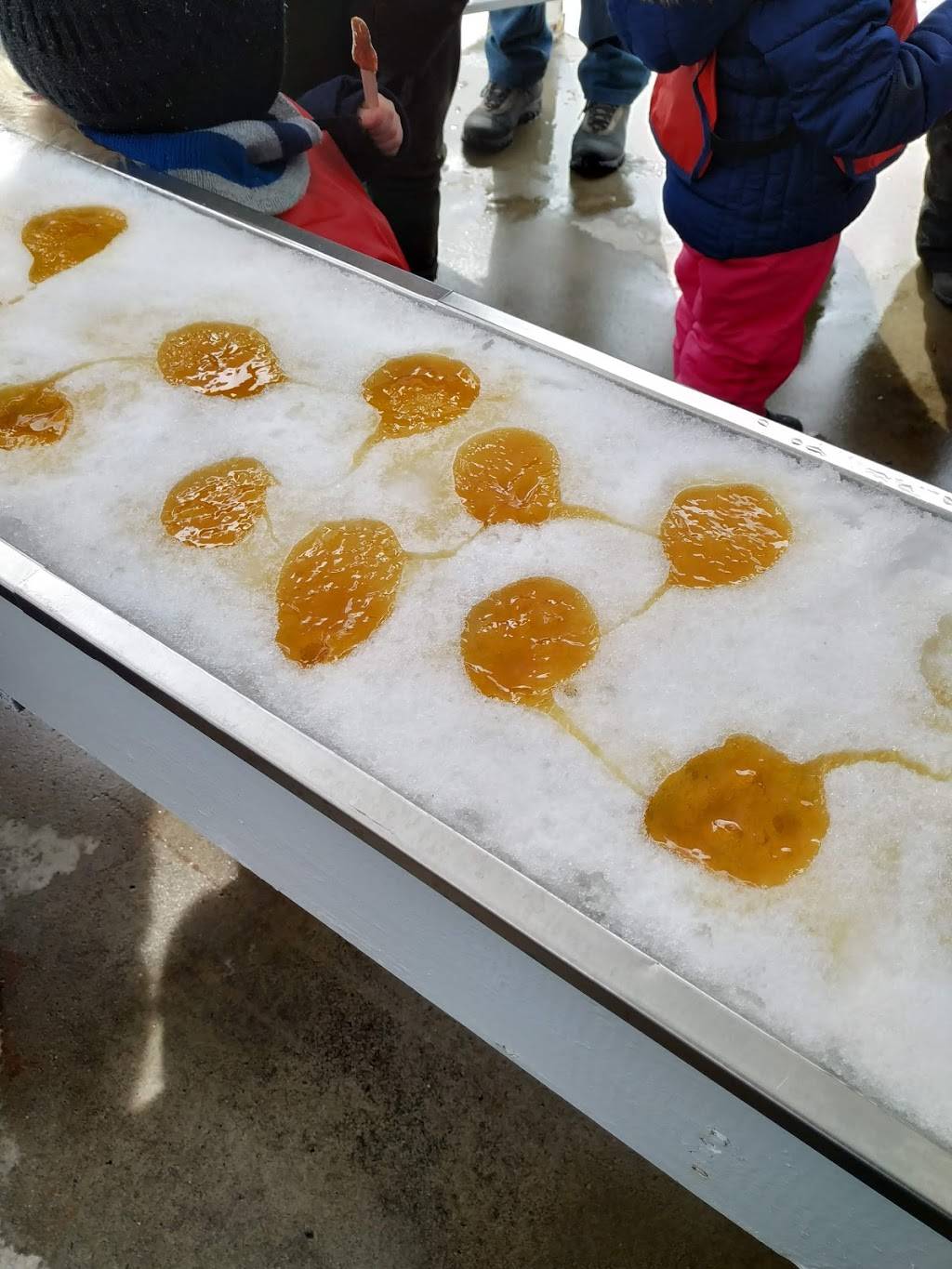 Érablière Duchesne | restaurant | 2685 Chemin Goddard, Sherbrooke, QC J1H 0C4, Canada | 8195652806 OR +1 819-565-2806