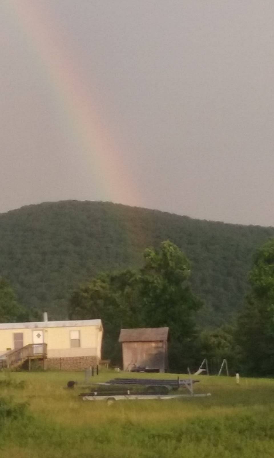 Lumpkins Marina Snack Bar And Grill | restaurant | 19 Lumpkin Dr, Penhook, VA 24137, USA | 4349274327 OR +1 434-927-4327