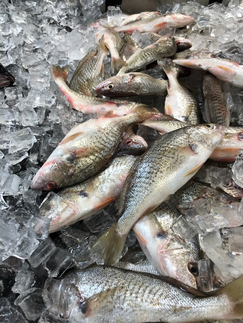 Central Fish Market | meal takeaway | 3701 Central Ave, Charlotte, NC 28205, USA | 7045369100 OR +1 704-536-9100