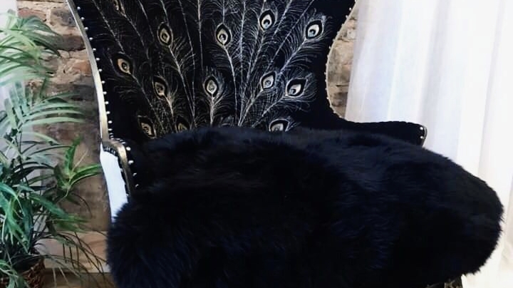 Diaz Costum Upholstery Interiors | restaurant | 435 Murphy Rd suite B2A, Stafford, TX 77477, USA | 2812454017 OR +1 281-245-4017